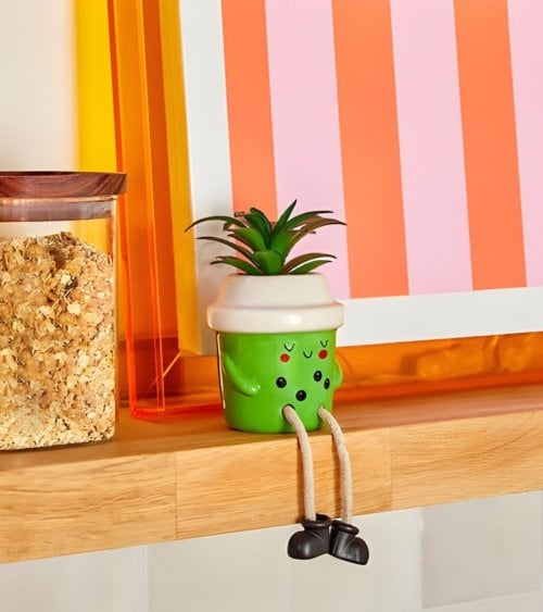 Planta Decorativa Kawai en Maceta de Dolomita