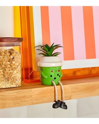 Planta Decorativa Kawai en Maceta de Dolomita