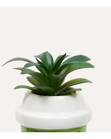 Planta Decorativa Kawai en Maceta de Dolomita