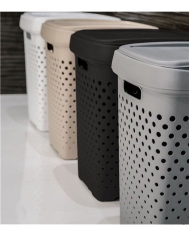 Pongotodo Almacenaje Zoom BeClassic 50L o 70L