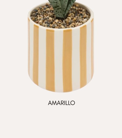 Sansevieria Decorativa Chéri con Maceta de Dolomita