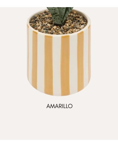 Sansevieria Decorativa Chéri con Maceta de Dolomita