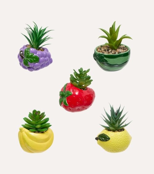 Planta Decorativa Fruity de Dolomita