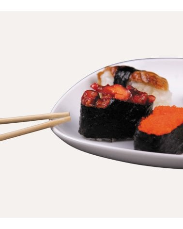 Molde para Sushi Maki Gunkan de Plástico
