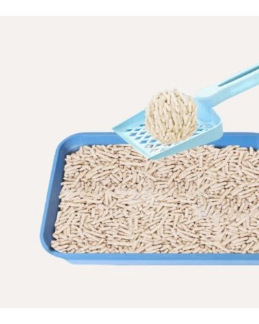 Arena para Gatos de Tofu