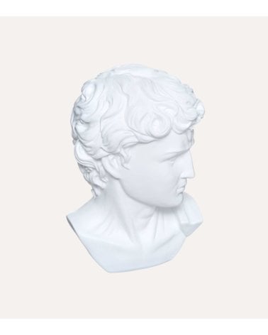 Figura Decorativa Cabeza de David de Poliresina