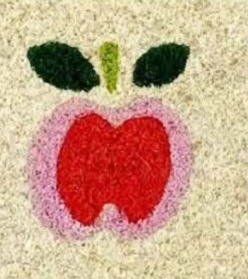 Felpudo Manzanas de Fibra Vegetal