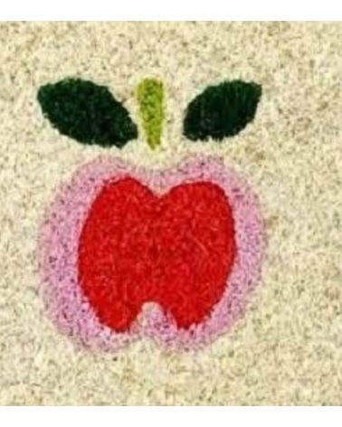 Felpudo Manzanas de Fibra Vegetal