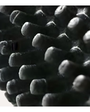 Felpudo Cepillo + Dentado de Goma