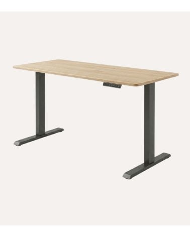 Mesa Escritorio Motorizada de Madera y Metal