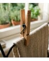 Set de 20 Pinzas para Colgar Ropa de Madera