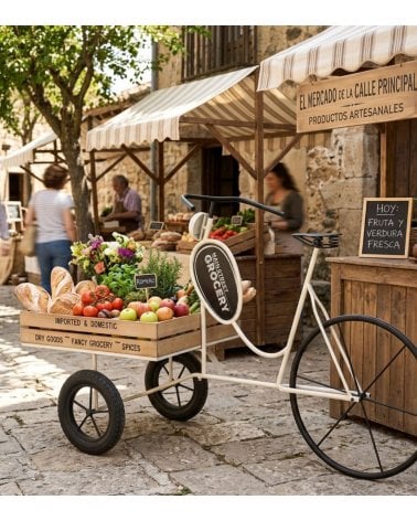 Macetero Triciclo con Cesta de Madera y Metal