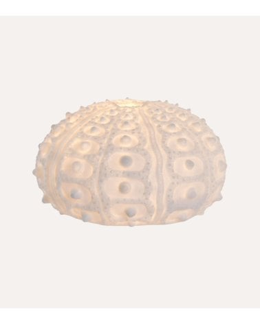 Lámpara de Mesa Erizo Marino LED de Arenisca