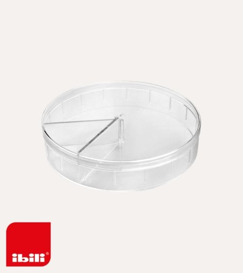 Caja de Almacenamiento para Quesos de Plástico