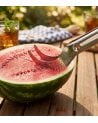 Cortador con Pinza para Sandía de Acero Inoxidable