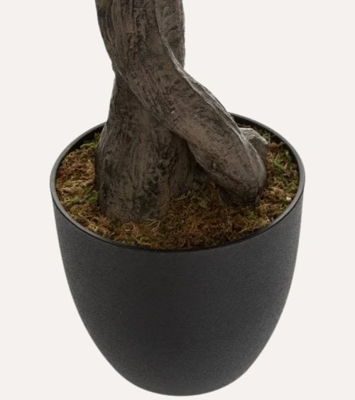 Olivo Decorativo con Maceta de Viola de Poliéster