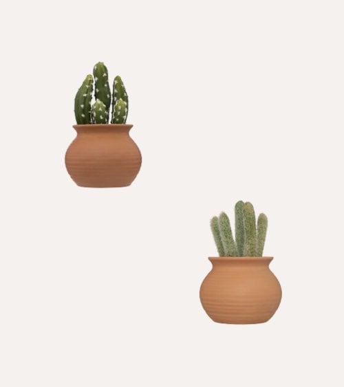 Cactus Decorativo Alicante con Maceta de Cerámica