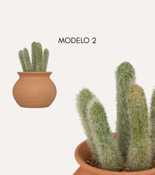 Cactus Decorativo Alicante con Maceta de Cerámica