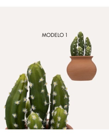Cactus Decorativo Alicante con Maceta de Cerámica