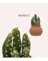 Cactus Decorativo Alicante con Maceta de Cerámica