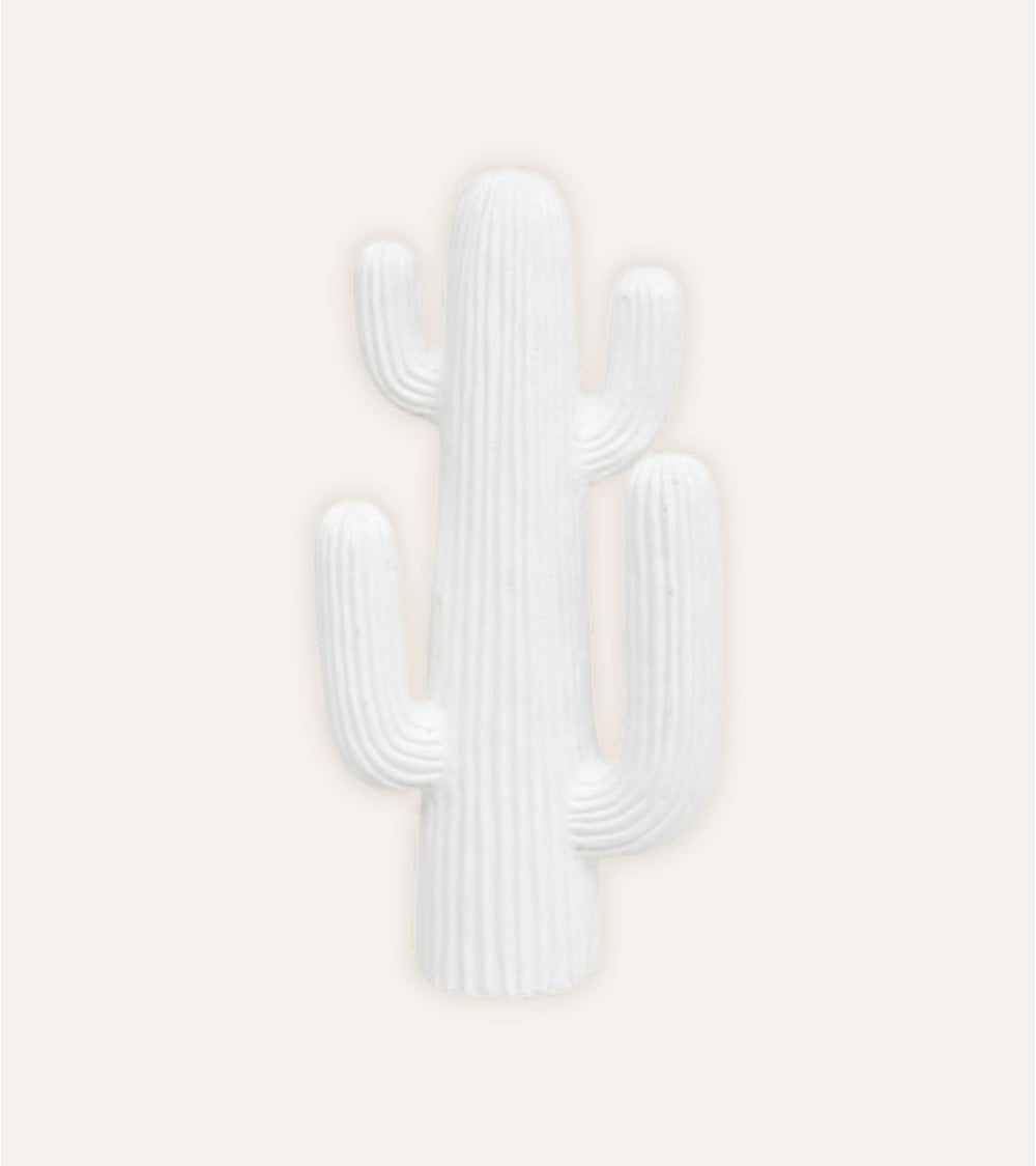 Cactus Decorativo Rodrigo de Magnesia