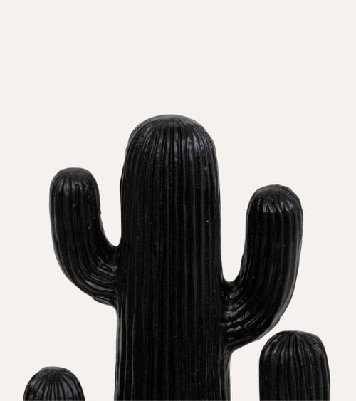 Cactus Decorativo Rodrigo de Magnesia