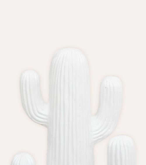 Cactus Decorativo Rodrigo de Magnesia