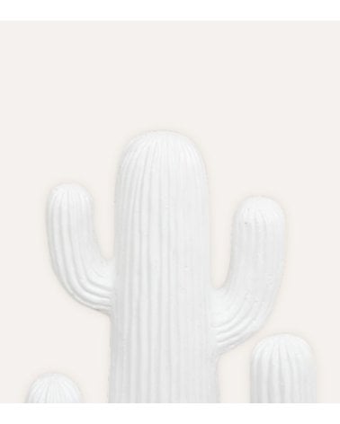 Cactus Decorativo Rodrigo de Magnesia