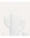 Cactus Decorativo Rodrigo de Magnesia