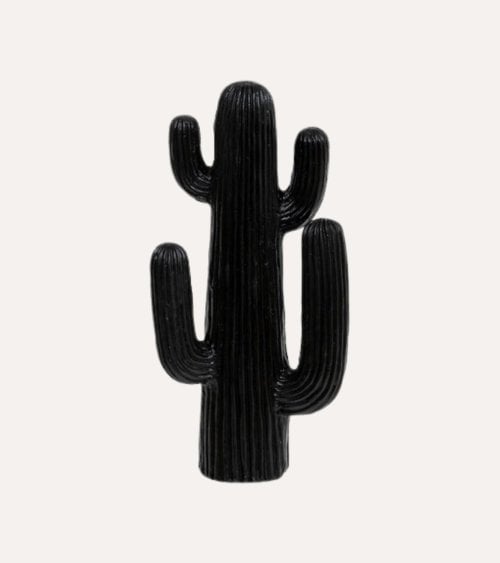 Cactus Decorativo Rodrigo de Magnesia