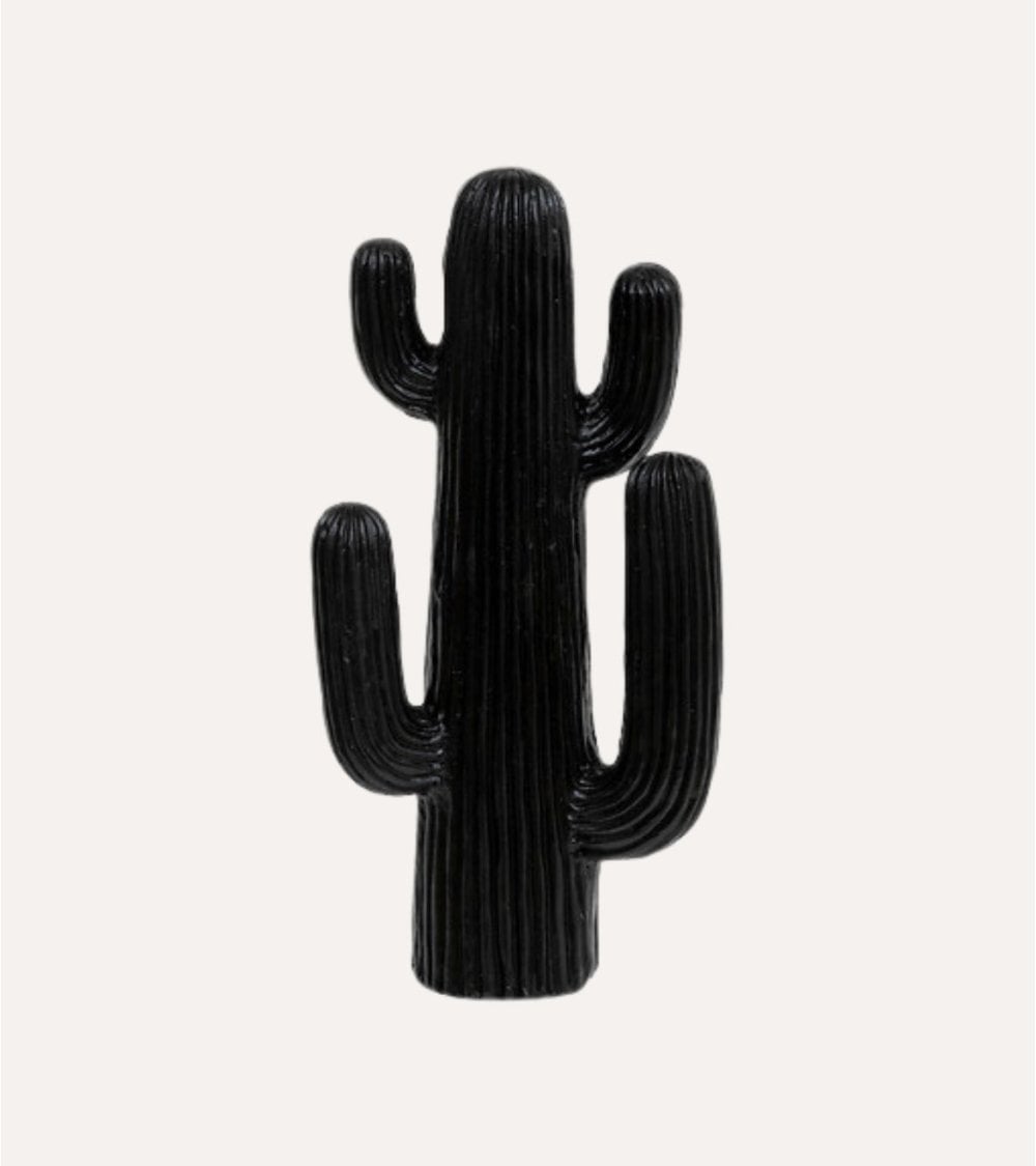 Cactus Decorativo Rodrigo de Magnesia