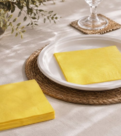 Set de 30 Servilletas Básicas de Papel