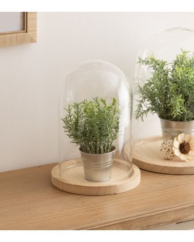 Campana Decorativa Claustro de Vidrio con Base de Madera