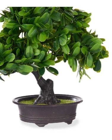 Bonsai con flores verdes Artificial -  Decoracion de Interiores y Exteriores
