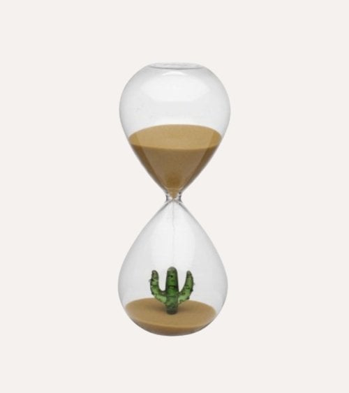 Reloj de Arena con Cactus en el Interior de Vidrio de Borosilicato