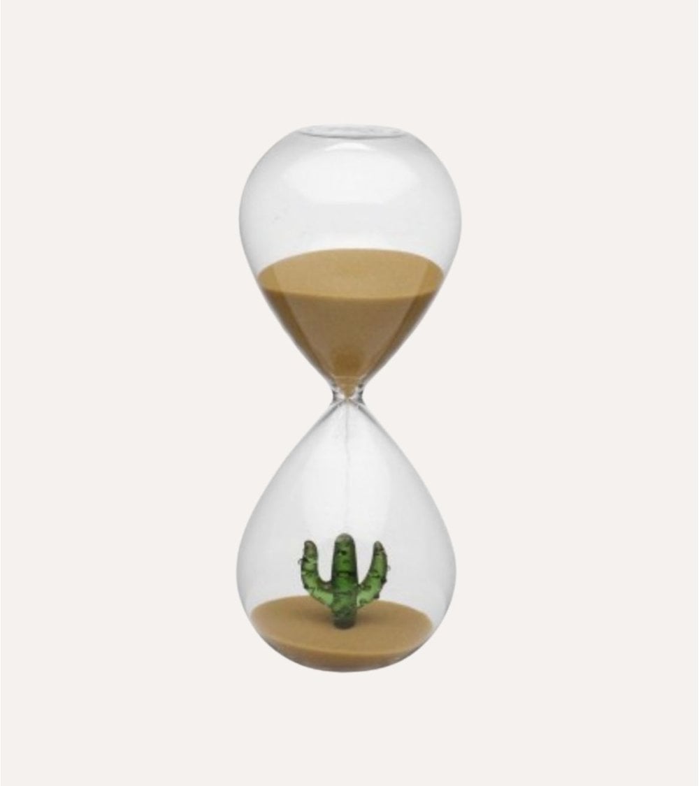 Reloj de Arena con Cactus en el Interior de Vidrio de Borosilicato