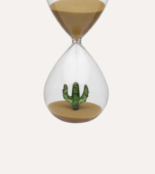 Reloj de Arena con Cactus en el Interior de Vidrio de Borosilicato