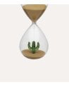 Reloj de Arena con Cactus en el Interior de Vidrio de Borosilicato
