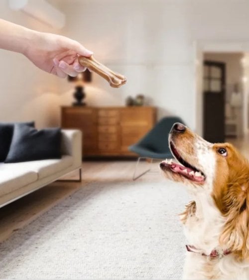 Huesos Ricos en Proteinas para Perros de Cuero de Ternera
