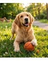 Juguete de Pelota de Baloncesto de Vinilo