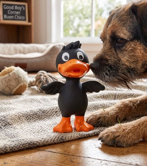 Juguete de Pato para Perros con Sonido Chirriante de Látex