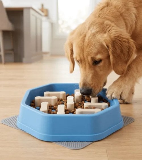 Cuenco para Alimentación Lenta de Mascotas de Polipropileno