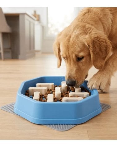 Cuenco para Alimentación Lenta de Mascotas de Polipropileno