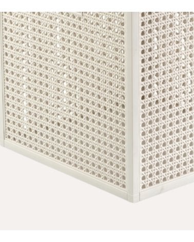 Cesta Kaya con Tapa de Plástico
