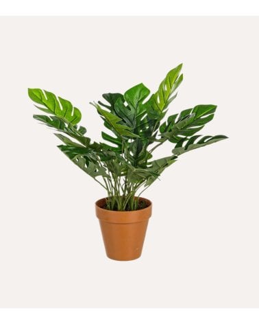 Planta Decorativa Filoendro de MDF