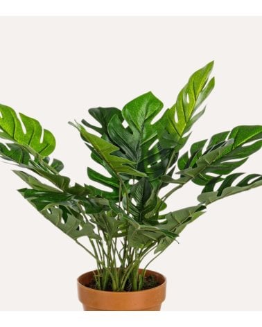 Planta Decorativa Filoendro de MDF