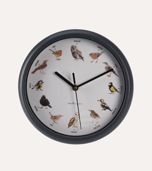 Reloj de Pared Pájaros de Plástico