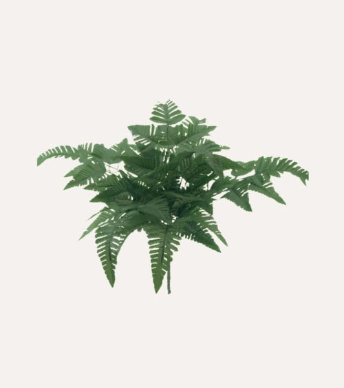 Helecho Decorativo Silvestre de Plástico