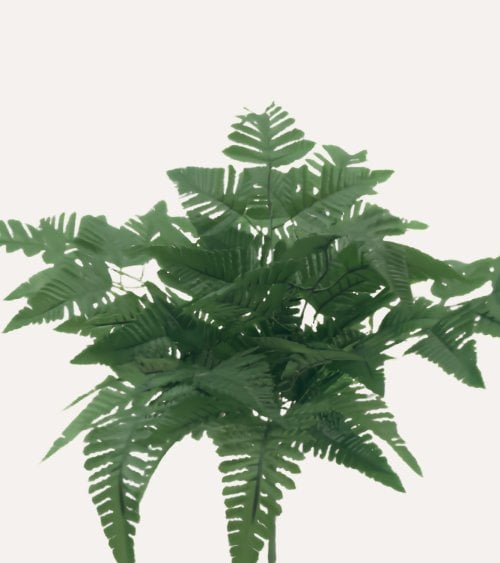 Helecho Decorativo Silvestre de Plástico