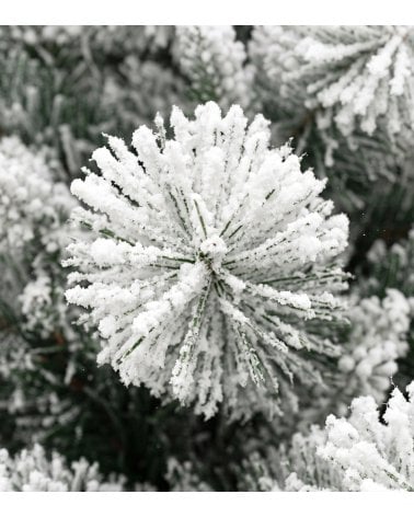 Árbol de Navidad Carrasco Frondoso con Efecto Nevado